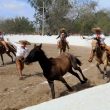 MATAMOROS3