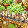 √PIX_7709